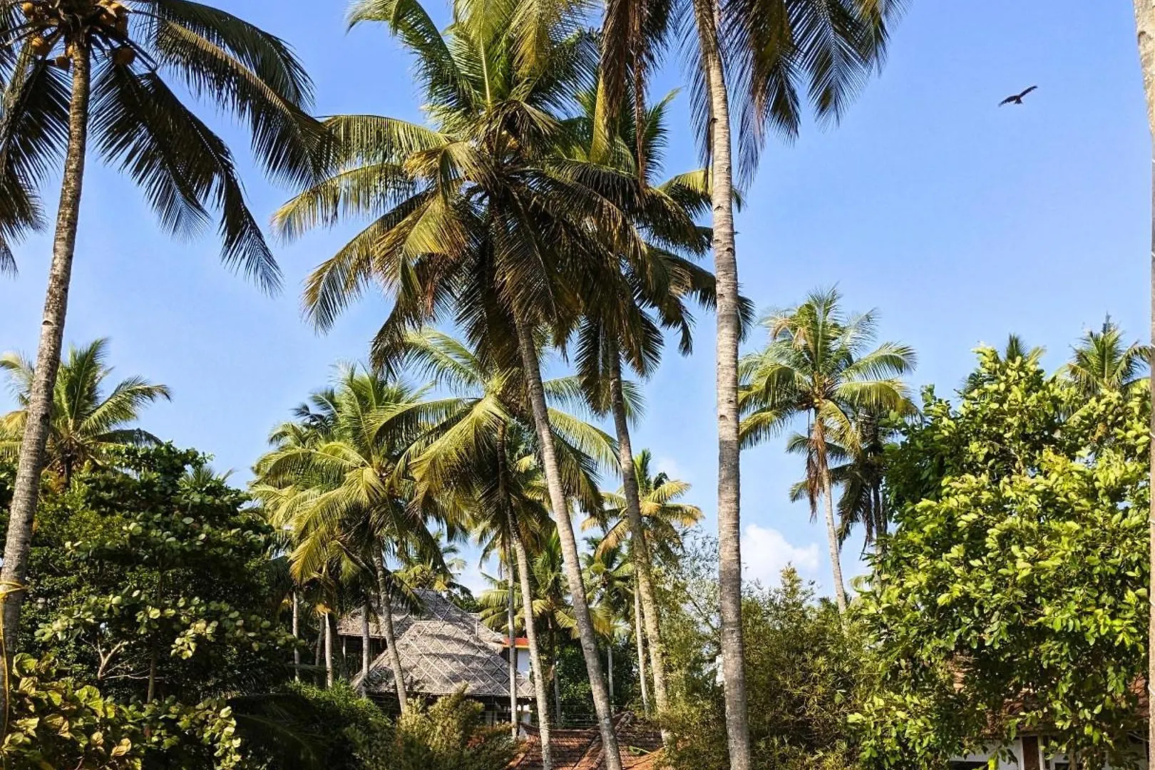 Θέρετρο Baycliff Cottages Varkala
